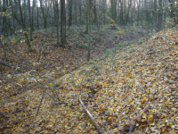 Türkenschanzen (Hornsburg)